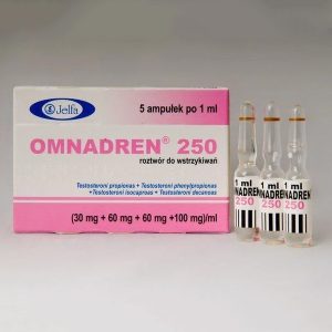 Omnadren Ampullen zur Testosterontherapie und Muskelaufbau
